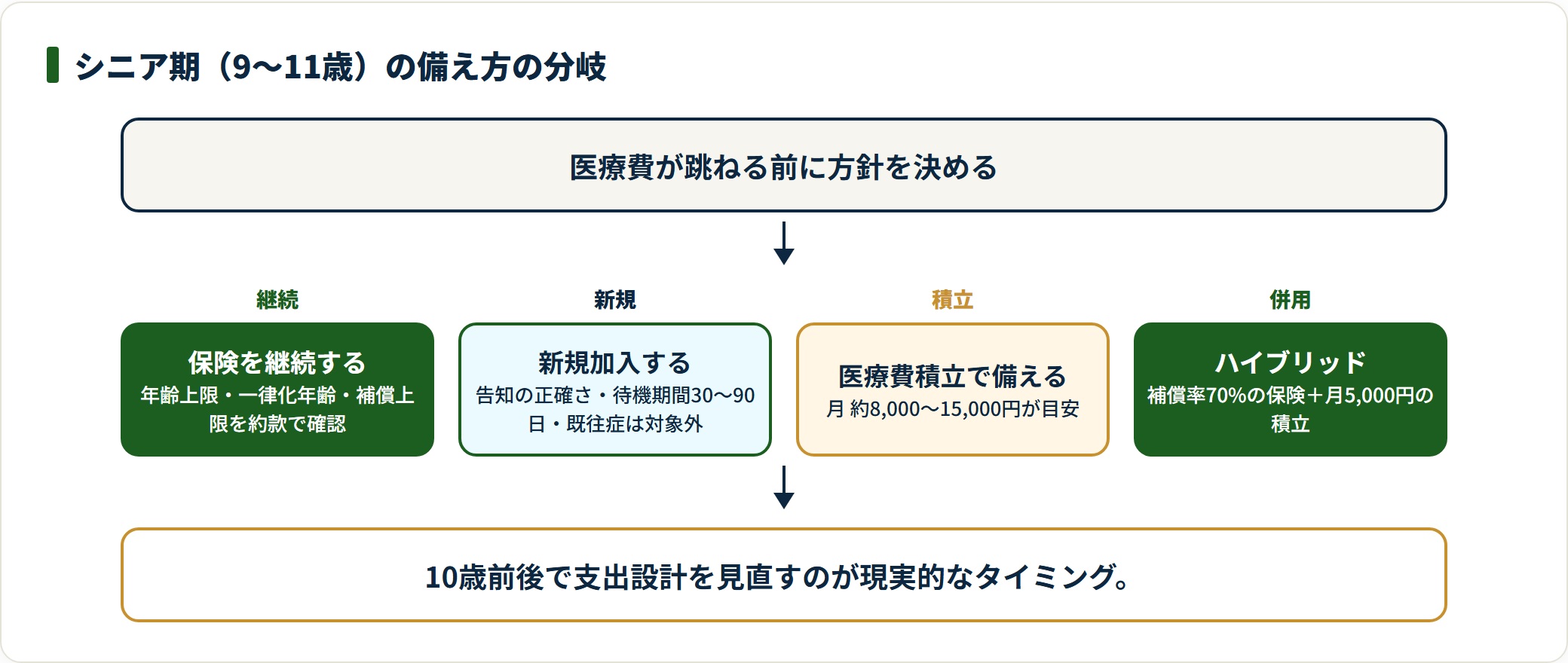猫のシニア期の備え方を保険継続・新規加入・積立・ハイブリッドの4択で示す判定図。