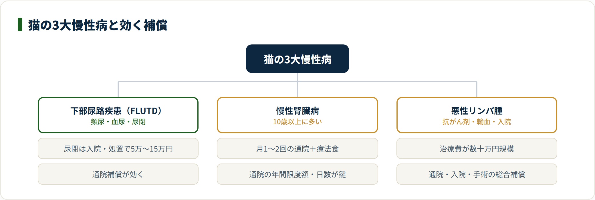 猫がかかりやすい3大慢性病と効いてくる補償を示した図。