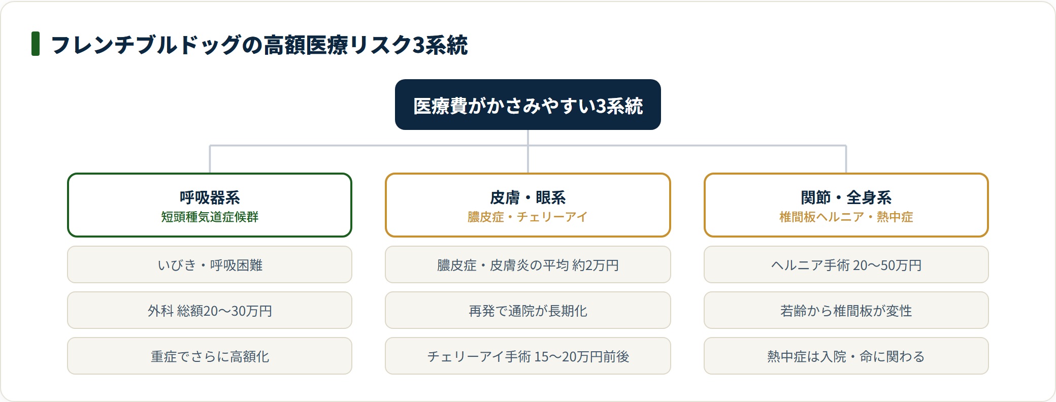 フレンチブルドッグの高額医療リスクを呼吸器・皮膚眼・関節全身の3系統に分類した図。