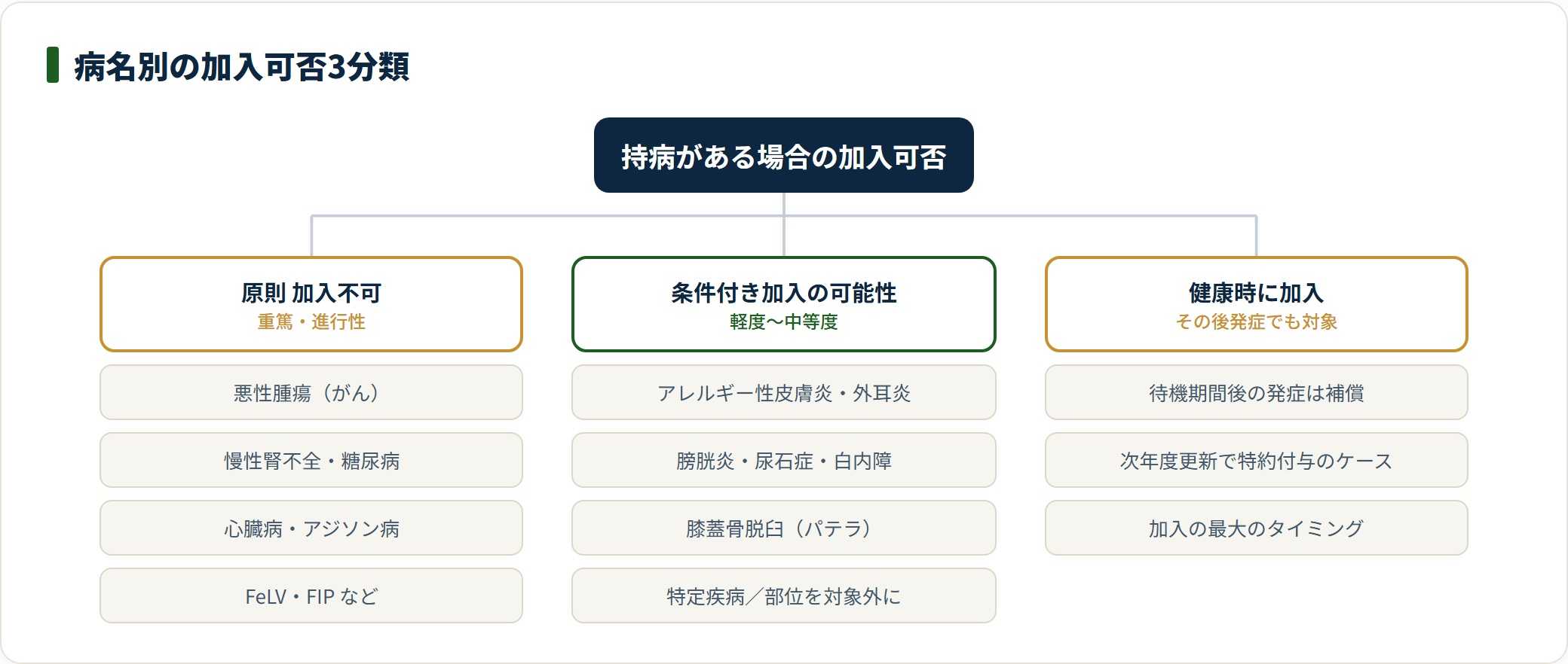 持病の病名を加入不可・条件付き加入・健康時加入の3つに分類した図。