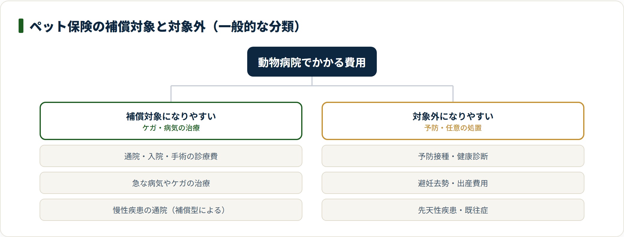 治療にかかる費用は補償対象、予防・任意処置や既往症・先天性疾患は対象外になりやすい