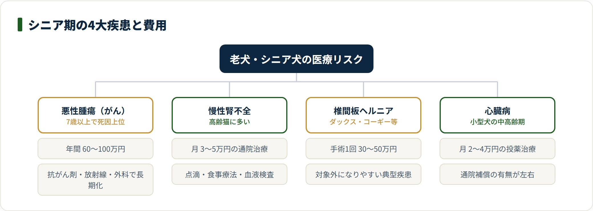 シニア期の悪性腫瘍・慢性腎不全・椎間板ヘルニア・心臓病の費用目安を示す分類図。