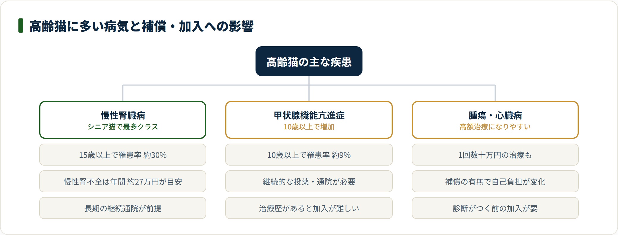 高齢猫に多い慢性腎臓病・甲状腺機能亢進症・腫瘍と、補償や加入可否への影響を分類した図。