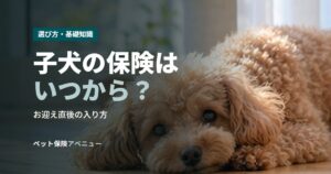 子犬の保険はいつから？